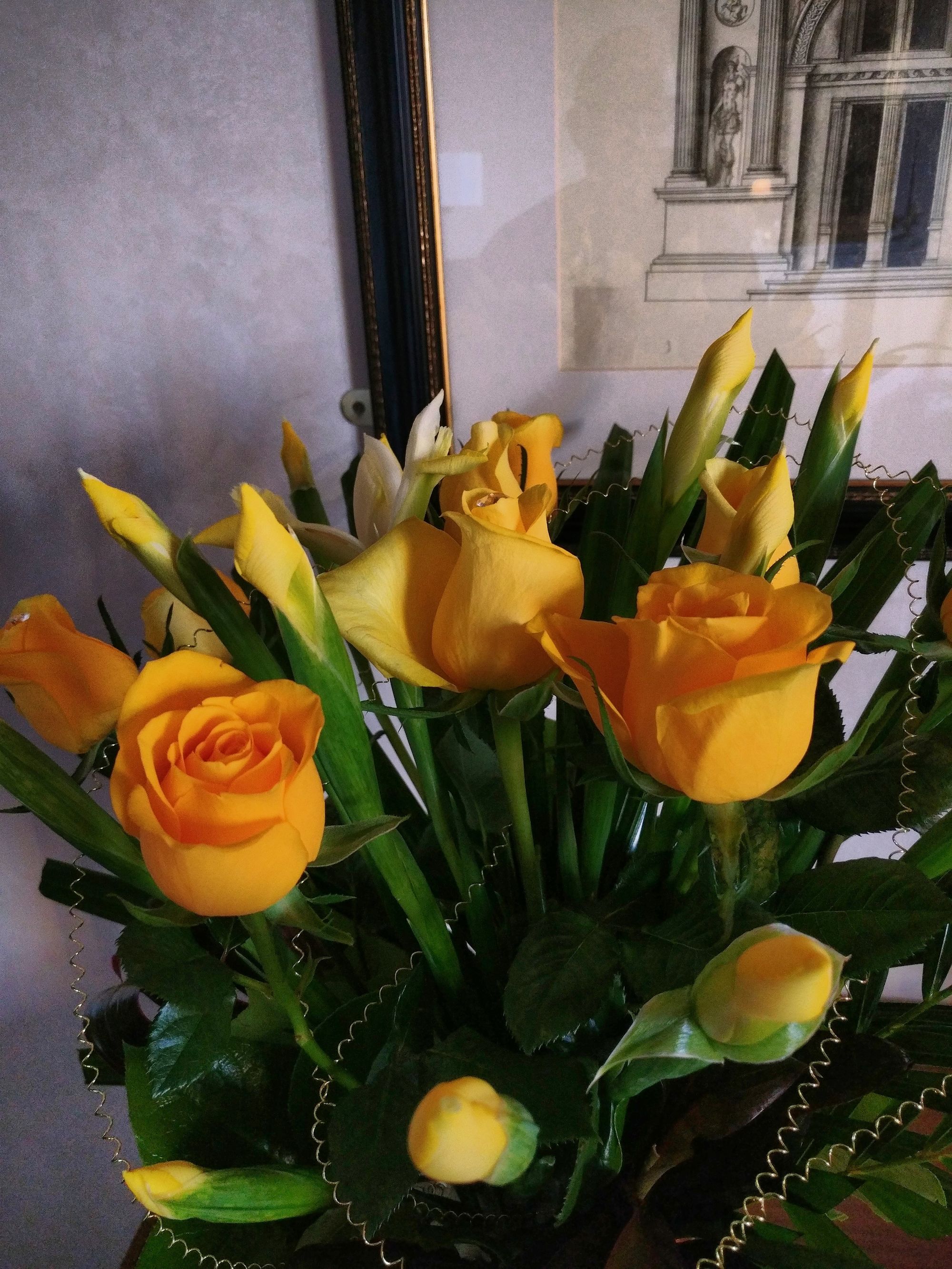 Yellow roses are the promise of new beginnings